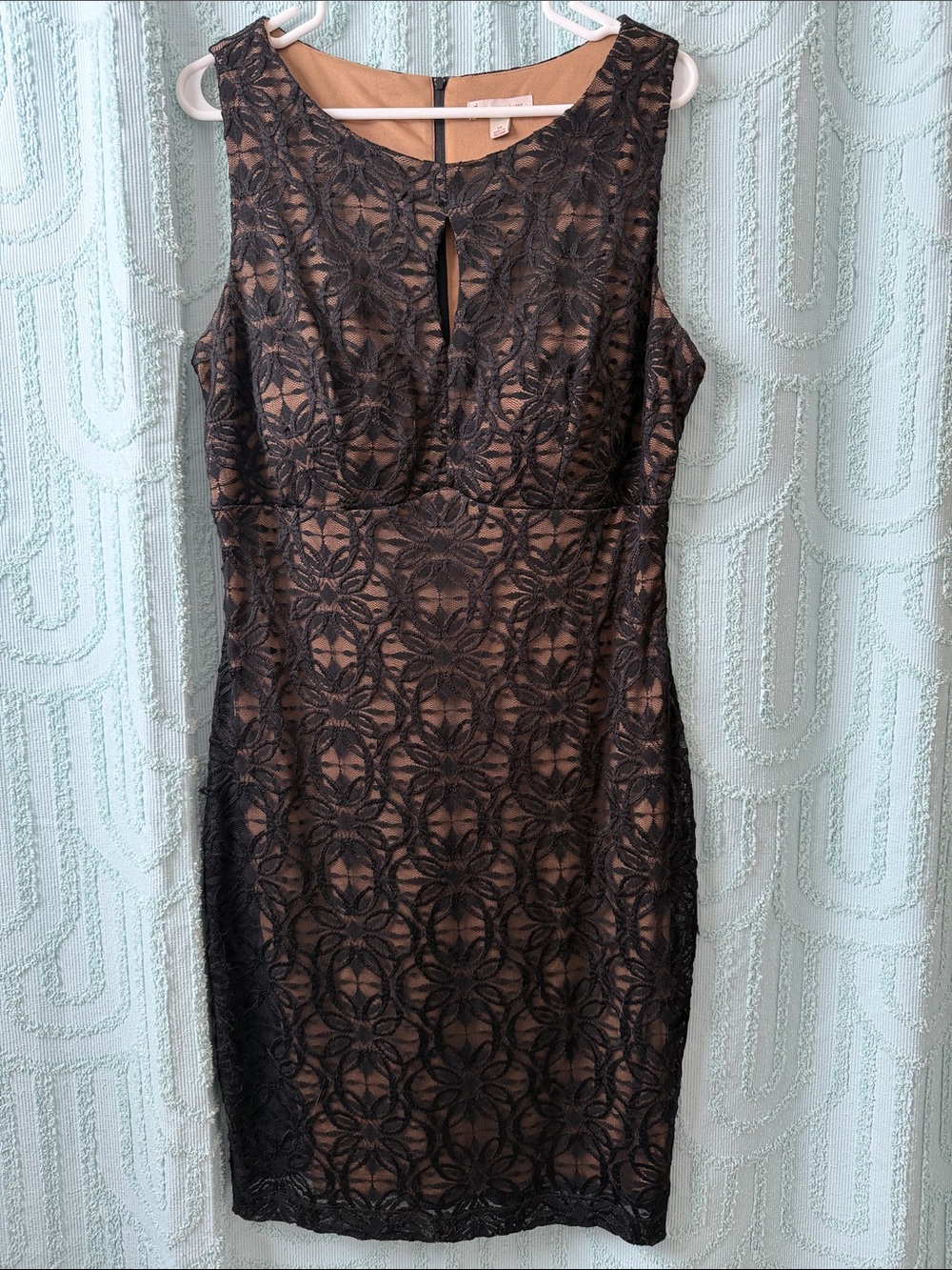 Sleeveless Black Lace Overlay Dress with Nude Lining